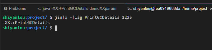 PrintGCDetails 参数
