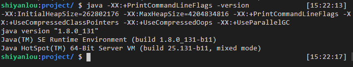 JVM 自动配置的XX选项