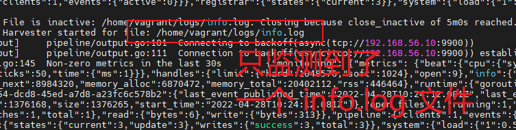 filebeat 只监测到了 info.log 文件