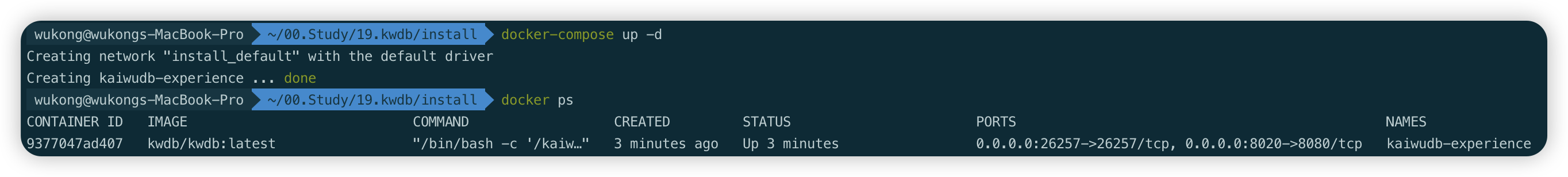 image-20260302144646576